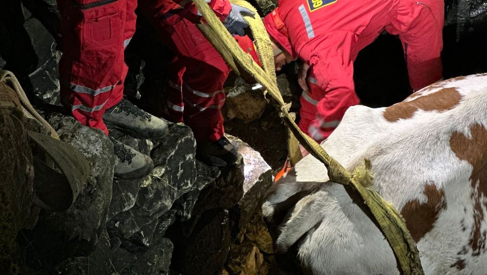 HGSS u akciji spašavanja - 2