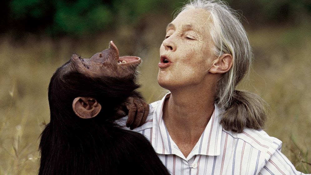 Jane Goodall