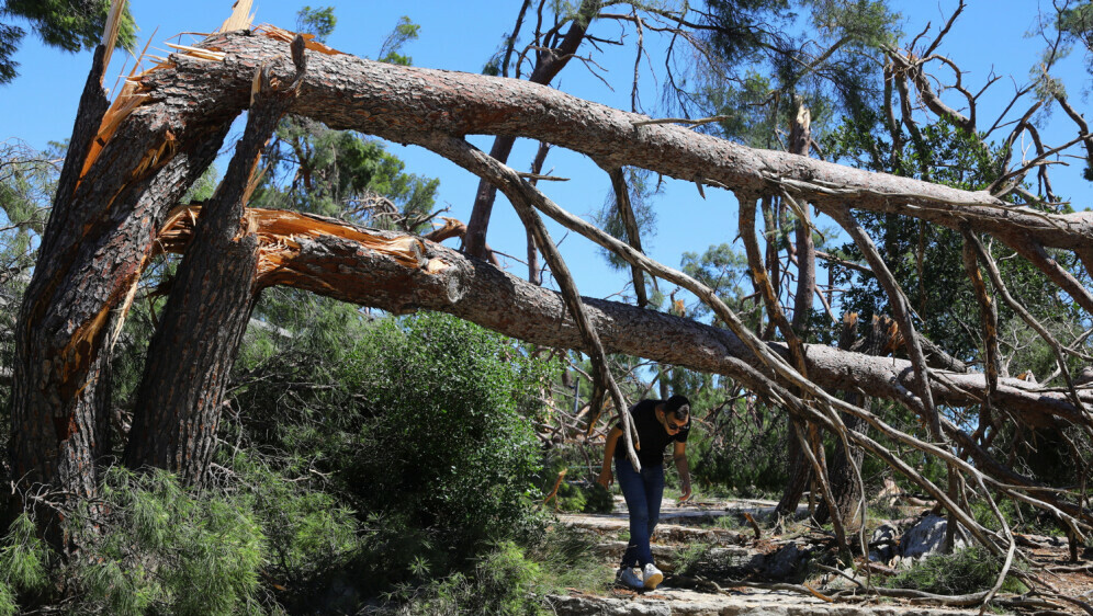 Nevrijeme na Marjanu, ilustracija