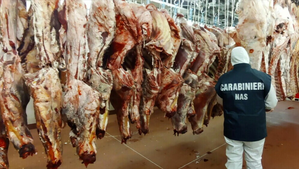 Zapljena pokvarene hrane - 3