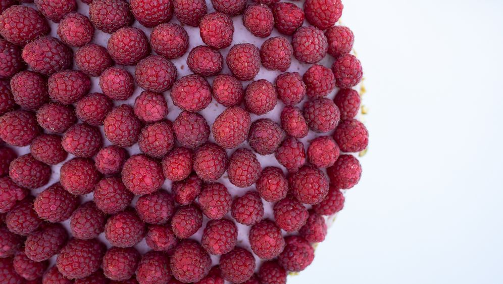 Blind tasting za prste polizati: Najslađa avantura na prvom Festivalu torti u Zagrebu