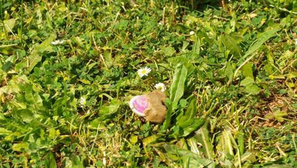 Počinje oralna vakcinacija - 2