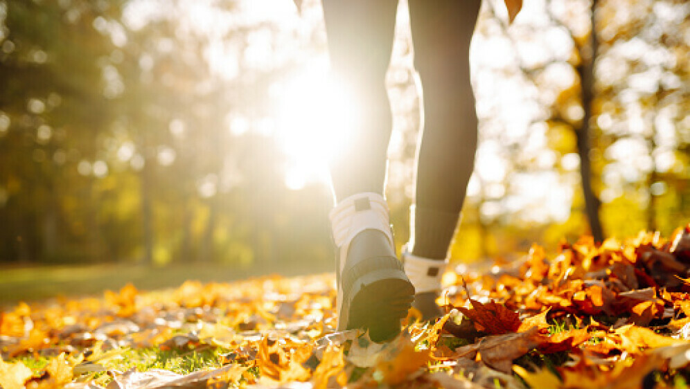 Sunčano vrijeme, ilustracija