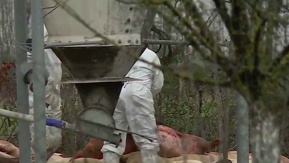 Veterinari traže pomoć - 4