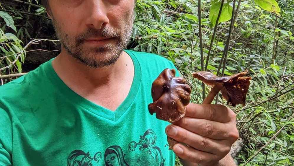 Bryn Dentinger drži par gljiva u ruci