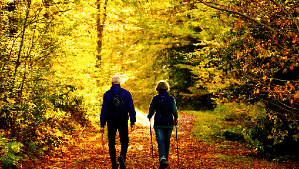 Sunčano vrijeme, ilustracija