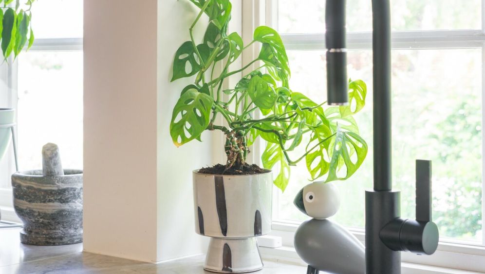 Crni detalji izgledaju sjajno, ali mogu biti izazovni za održavanje