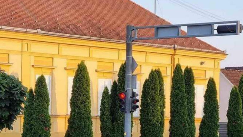 Odbjegla svinja u Vinkovcima