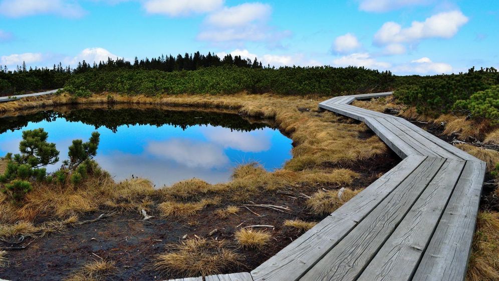 Lovrenška jezera - 12