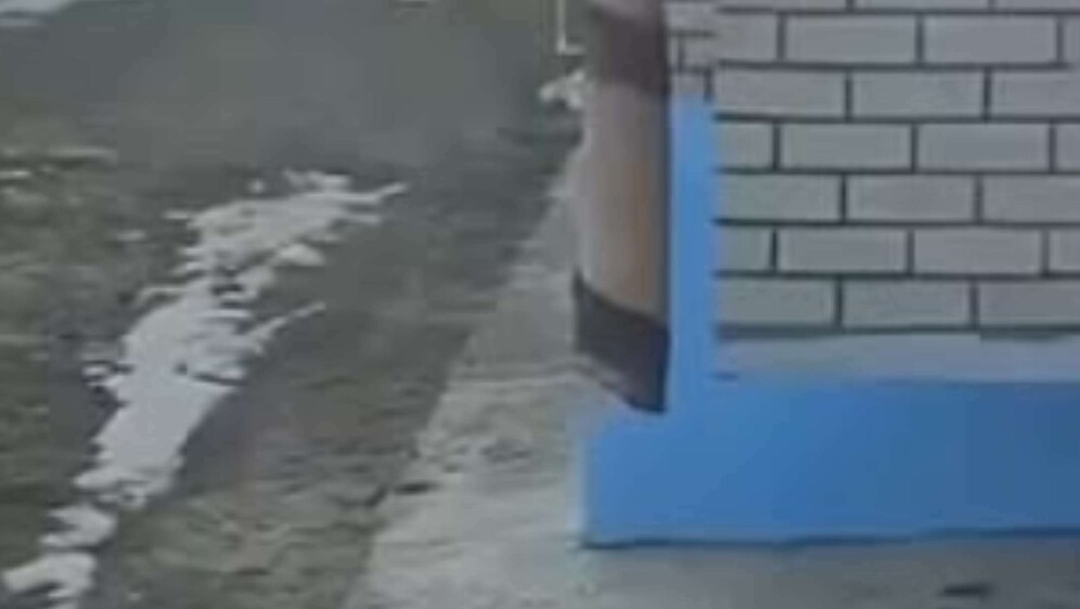 Mačka koja se penje po pokrivaču