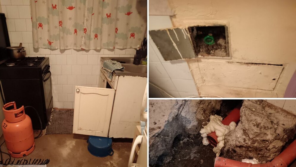 Štakori u stanu u Zagrebu - 2