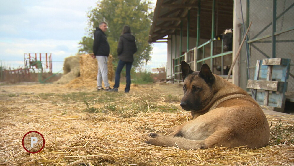 Provjereno - Poljoprivrednik pobijedio državu - 4