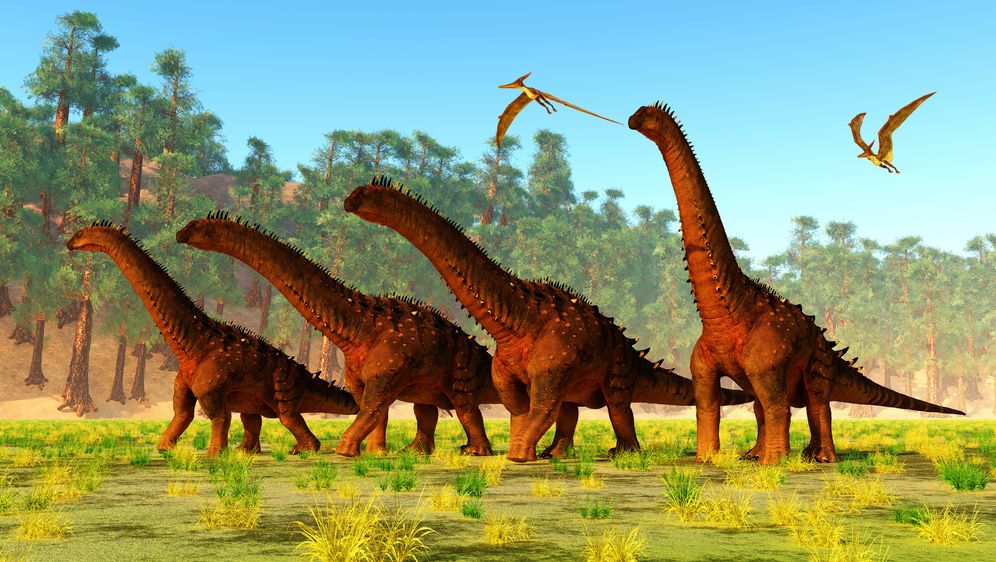 Krdo Alamosaura, ilustracija