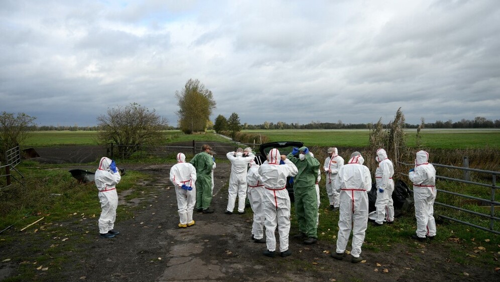 Ptičja gripa u Njemačkoj