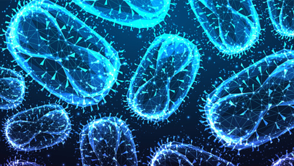 Virus majmunskih boginja