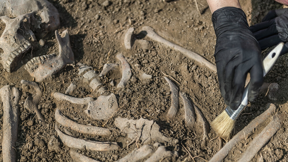 Antroplozi iskapaju ljudske ostatke, ilustracija