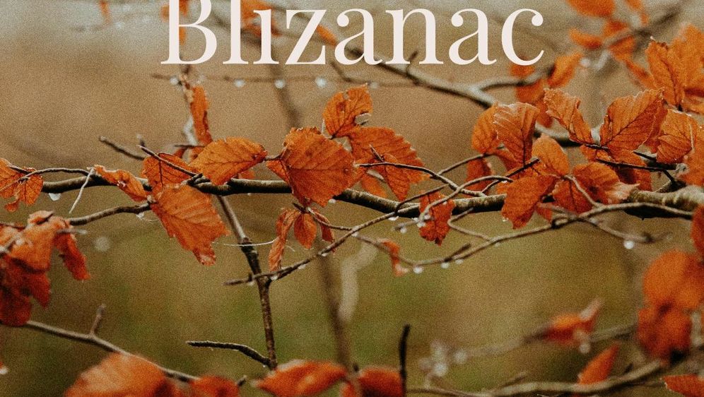 Blizanci