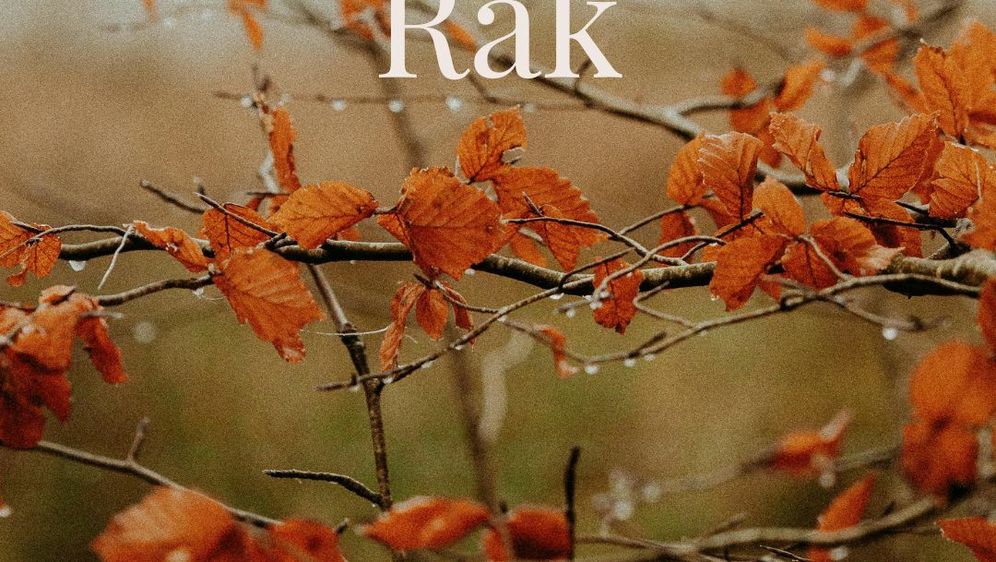 Rak