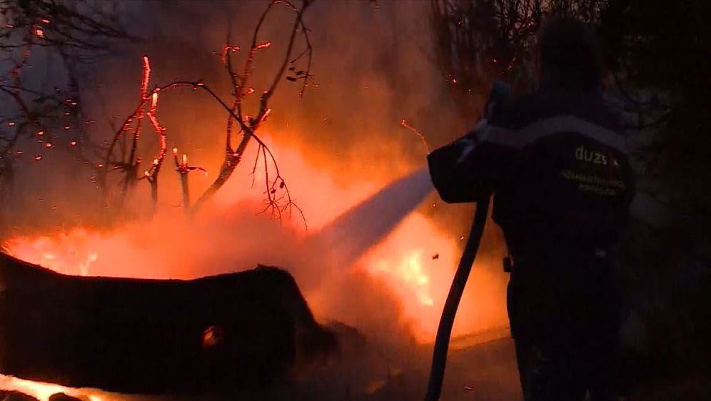 Vatrogasci gase požar koji kara Pelješcom (Foto: Dnevnik.hr)