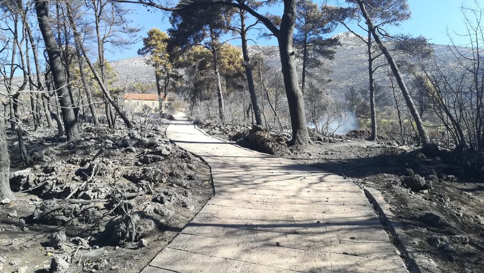Pelješac dan nakon velikog požara (Foto: dnevnik.hr)