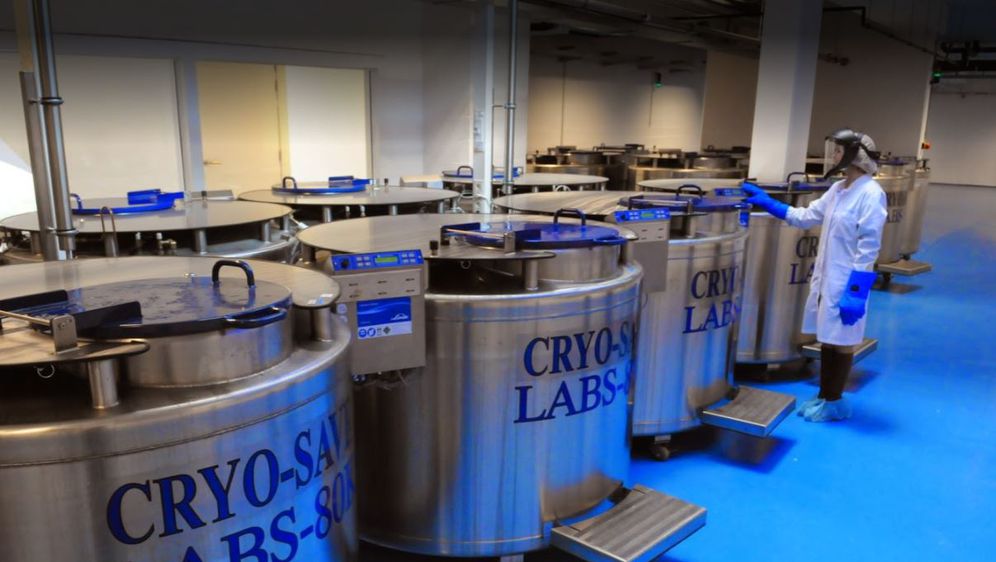 Laboratorij Cryo-Save (Foto: Cryo-Save)