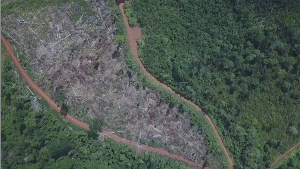 Spaljivanje Amazonske prašume (Foto: Dnevnik.hr) - 1