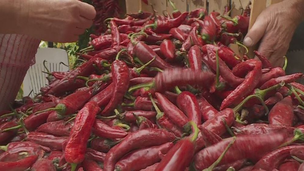 Crvena paprika (Foto: Dnevnik.hr)