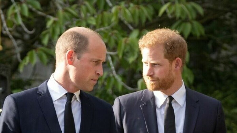 Princ Harry i princ William - 1