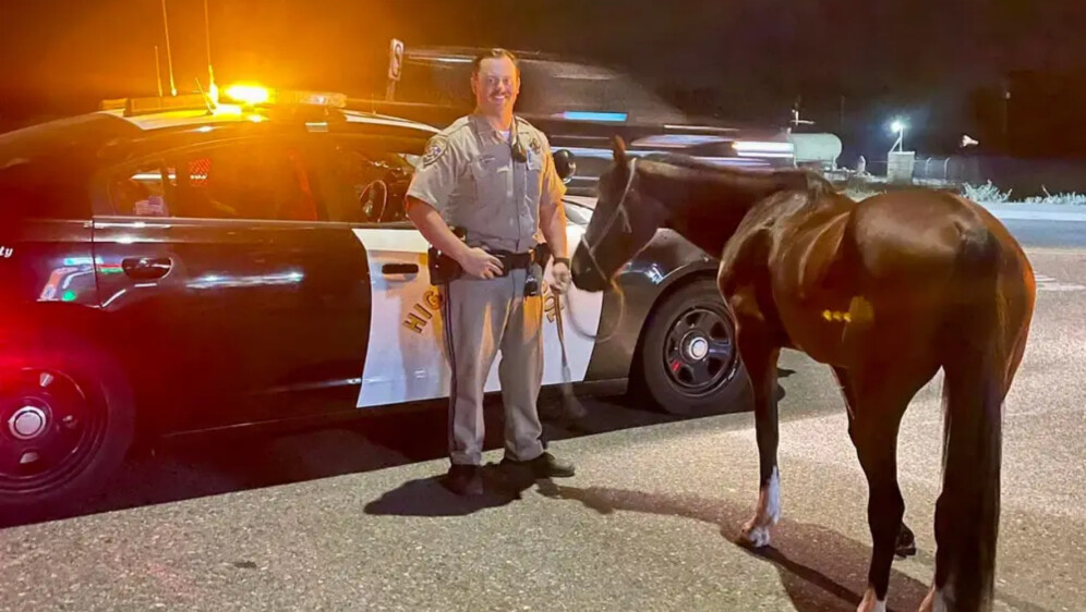 Policija na autocesti zaustavila muškarca koji je pod utjecajem alkohola jahao konja