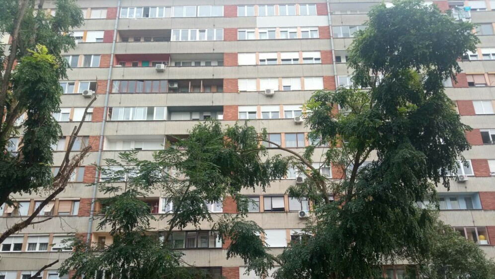 Stablo u naselju Srednjaci