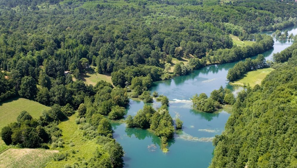 Mrežnica - 1