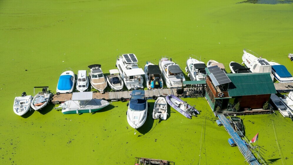 Rijeka Sava u Beogradu promijenila boju - potpuno je zelena - 1