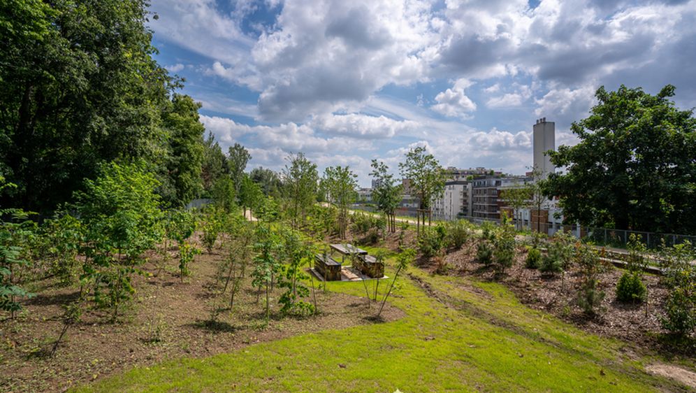 Bois de Charonne