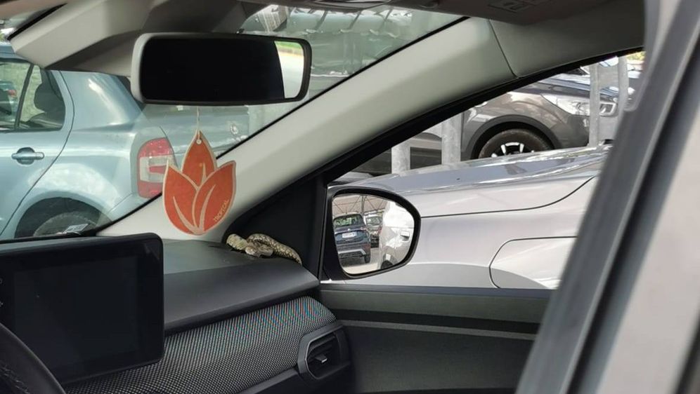 Zmija u automobilu u Bujama