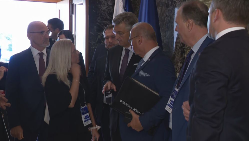 Strateški forum na Bledu - 3