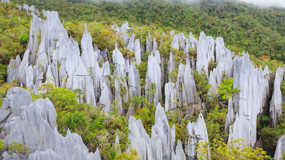 Nacionalni park Gunung Mulu