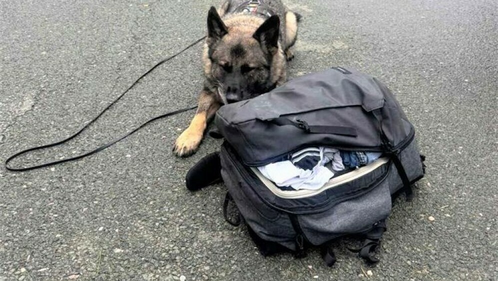 Policijska zapljena na A6 - 1