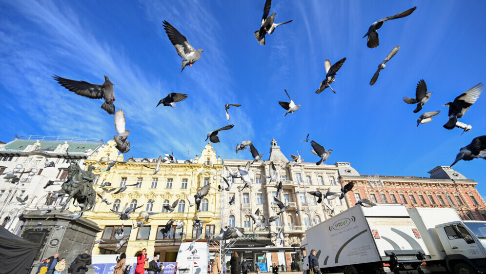 Golubovi na Trgu bana Jelačića