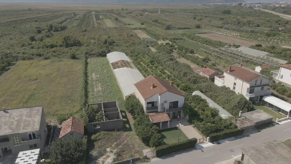 Uginula stoka kod Opuzena - 3