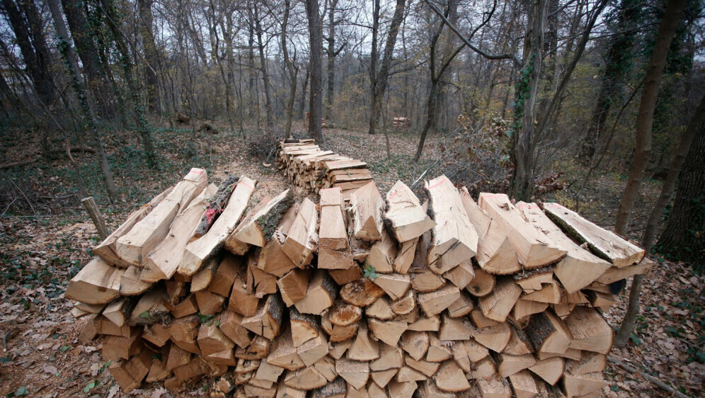 Drveni trupci, ilustracija