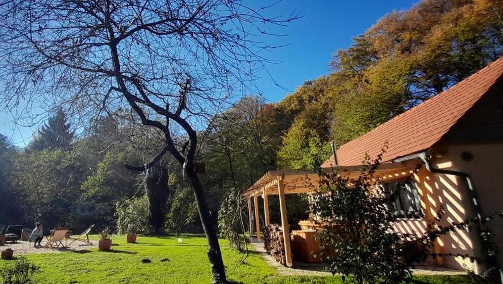 Holiday Home Forest Inn - 14