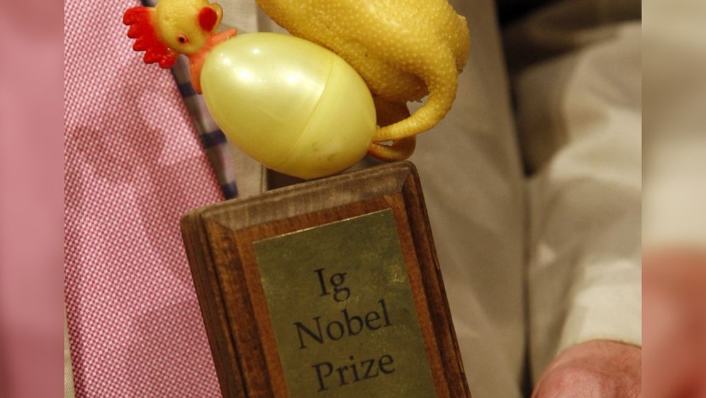 Ig Nobelova nagrada
