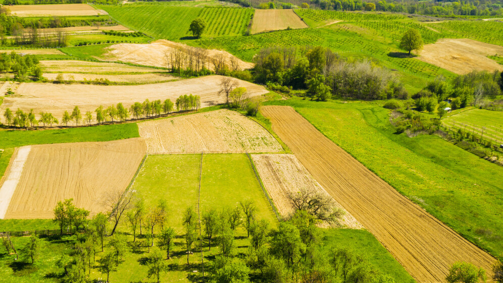 Kako se piše: Grubišno polje ili Grubišno Polje