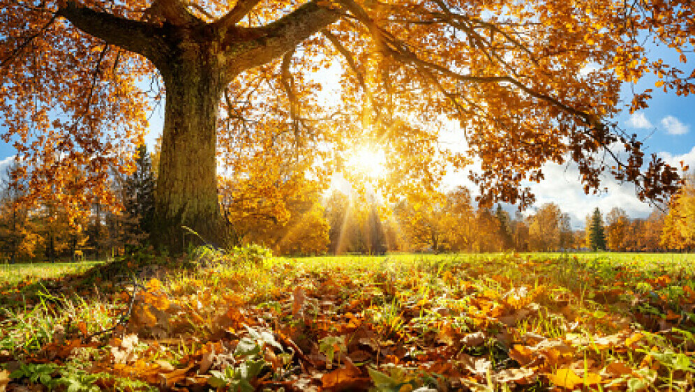 Sunčan dan, ilustracija