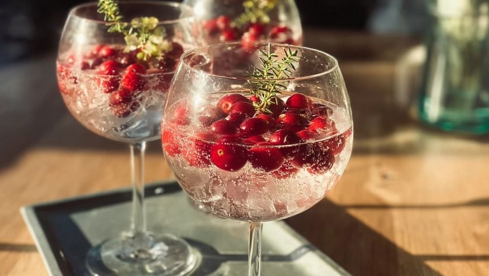 Džin tonik s brusnicama