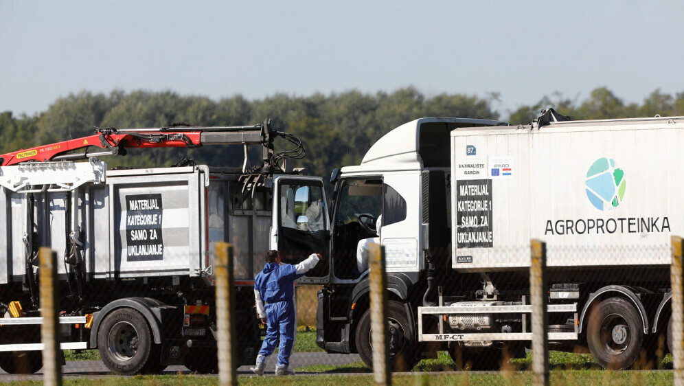 Eutanazija svinja na farmi u Sokolovcu - 1