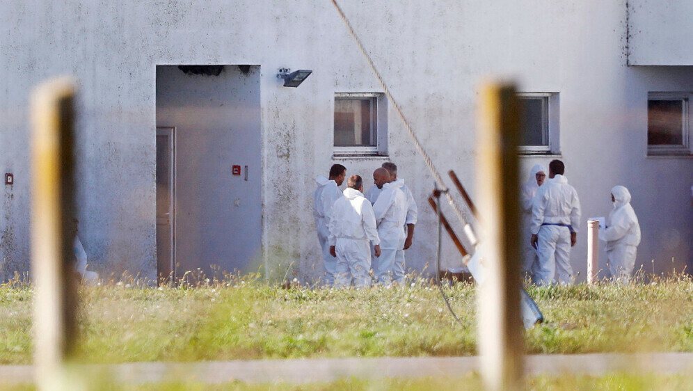 Eutanazija, farma Sokolovac