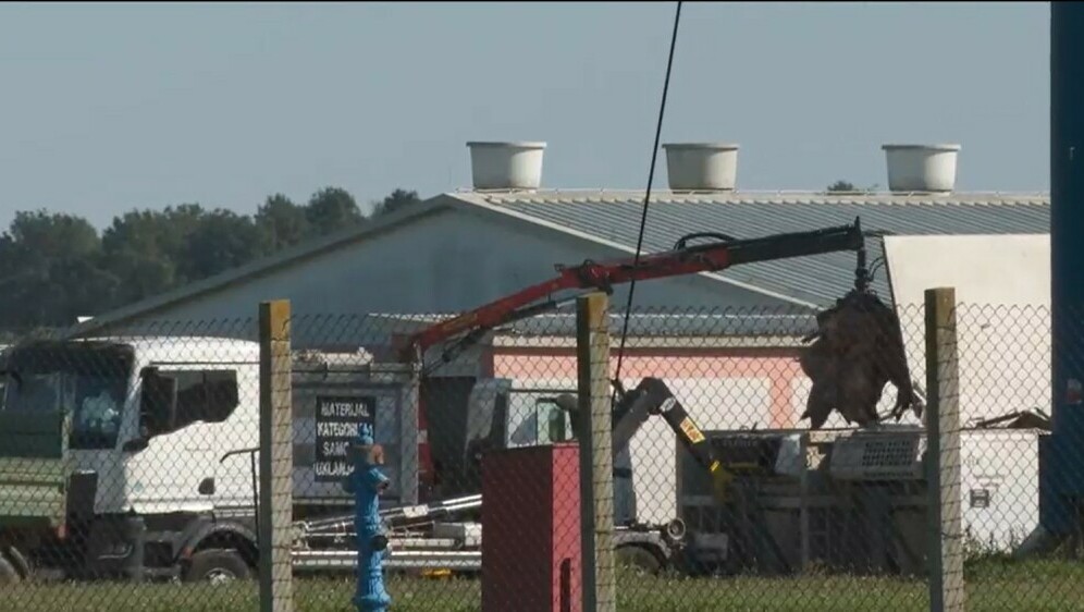 Eutanazija svinja na farmi Sokolovac - 3