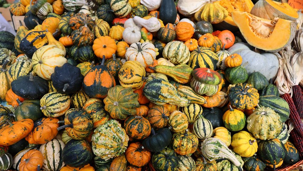 Bučijada u Ivanić-Gradu - 1