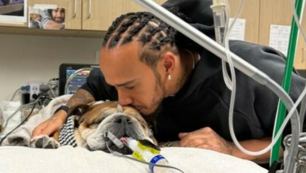 Lewis Hamilton sa psom - 1